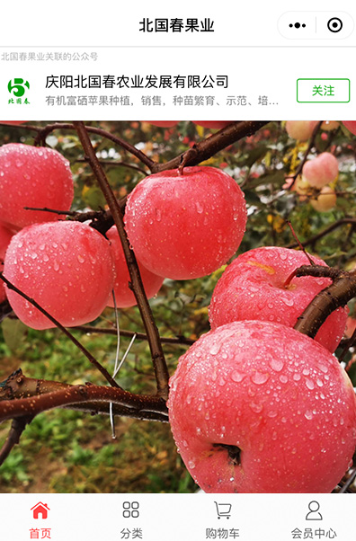 北国春