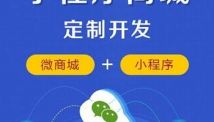 二手车小程序商城系统、网上商城开发方案
